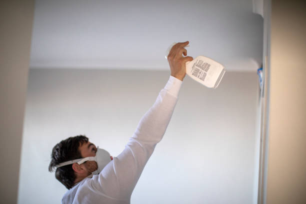 Best Commercial Mold Removal  in Parkwood, CA