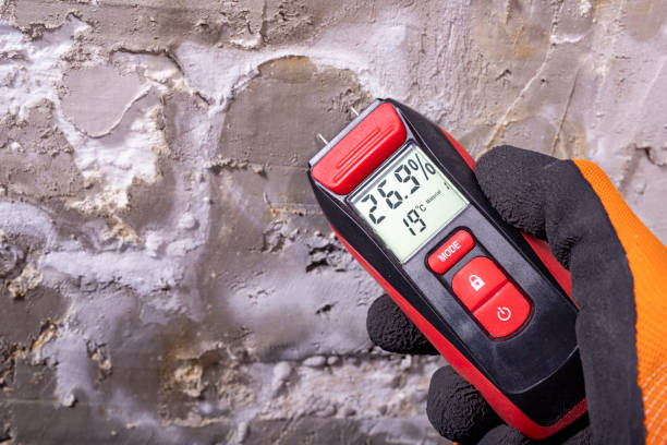 Best Commercial Mold Removal  in Parkwood, CA