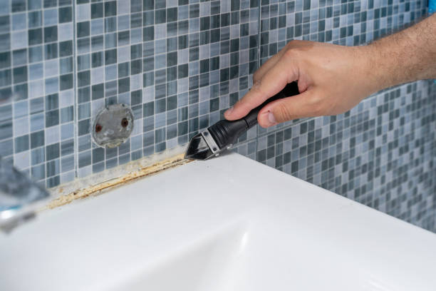 Best Local Mold Removal Service  in Parkwood, CA