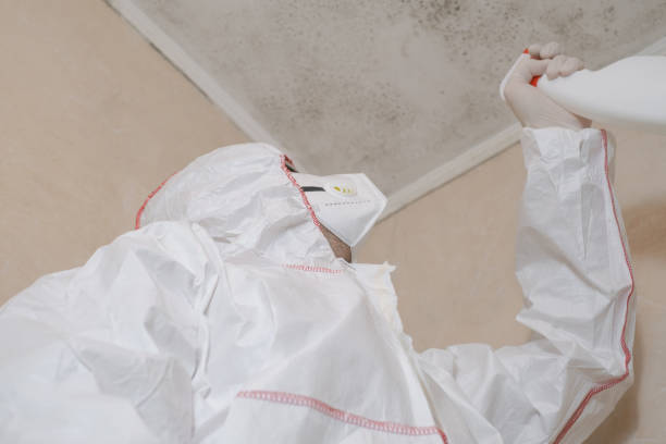 Best Home Mold Removal  in Parkwood, CA