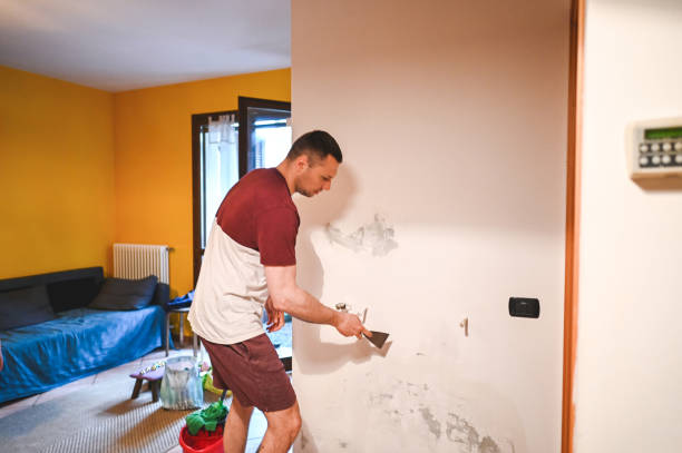 Best Mold Remediation  in Parkwood, CA